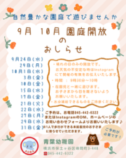未就園児園庭開放について
